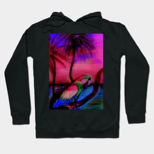 TROPICAL PINK PARROT SUNSET Hoodie